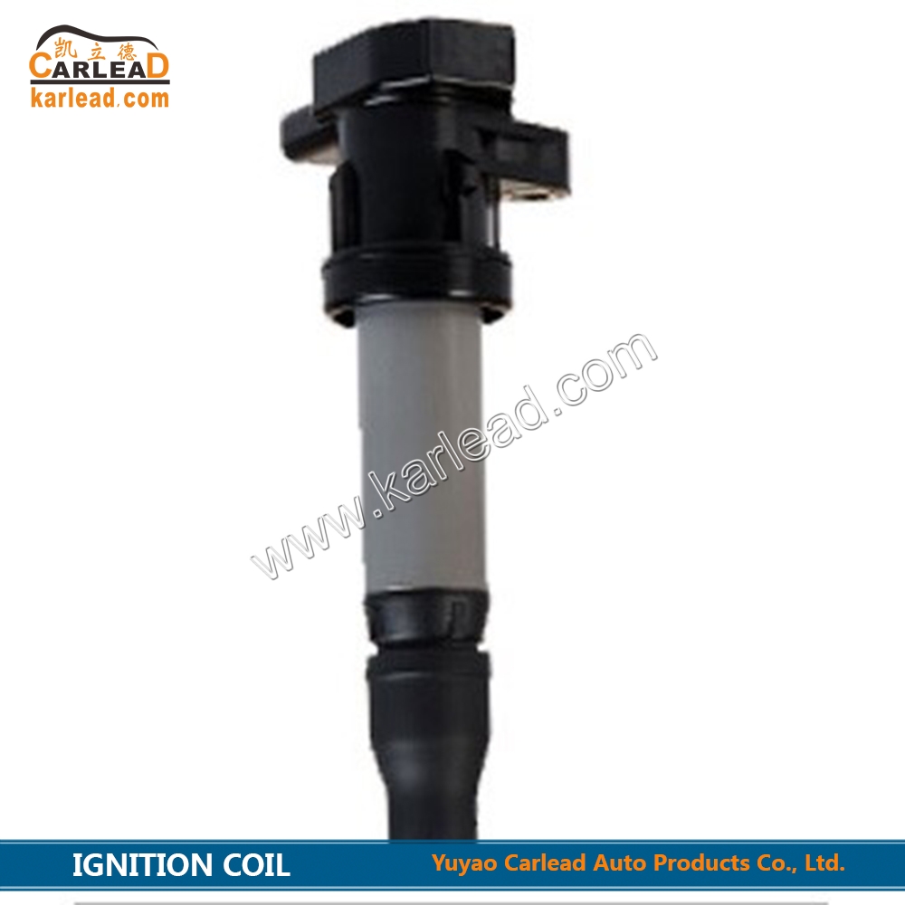 099700-0940, 12597745, 12594176, UF543, 5C1613, C1556, UF564, D596A, DQG1162, Zündspule