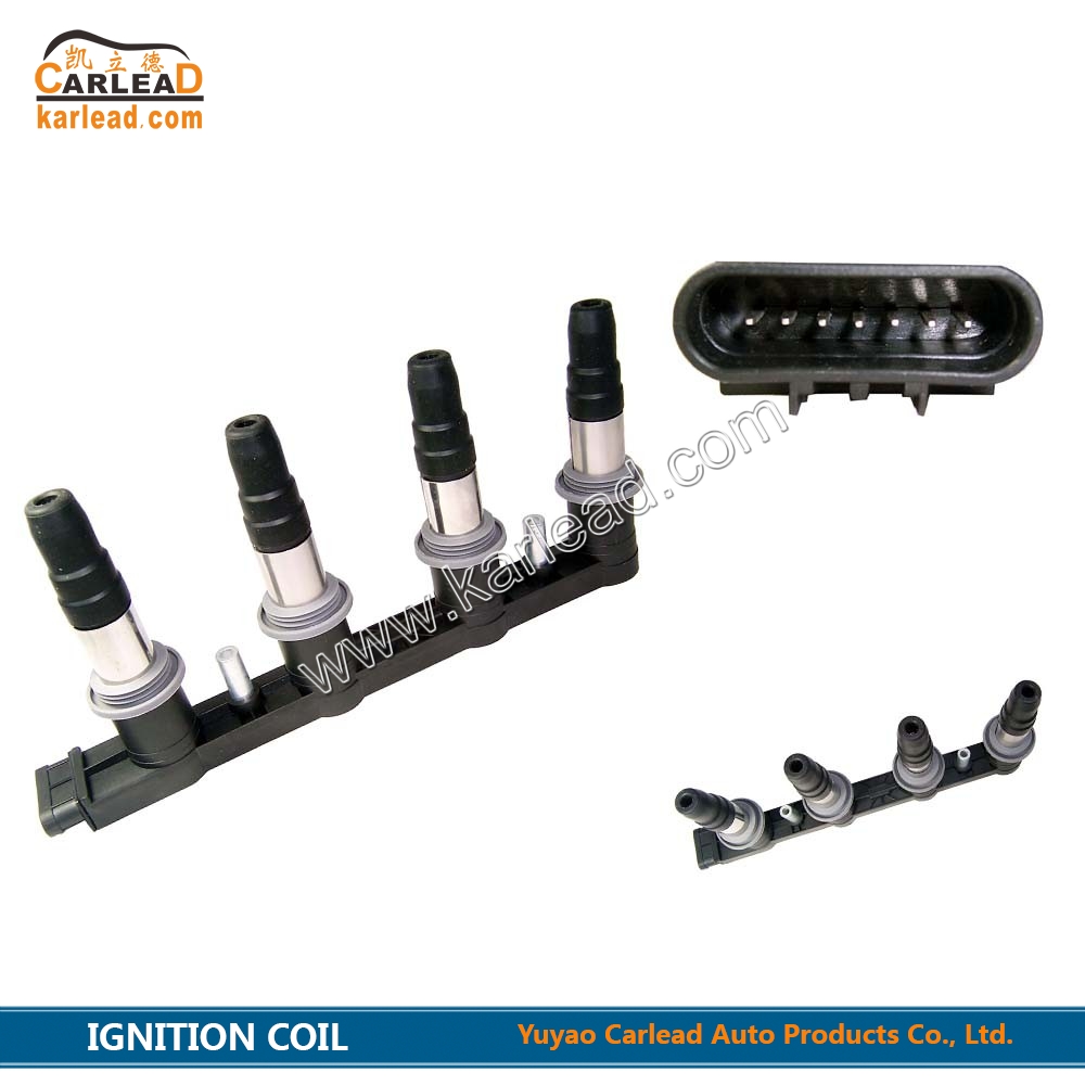 986221097, 28125877, 96476979, 25186686, 55570160, CE8766212B1A, CE0184012B1, DQG1206, Zündspule