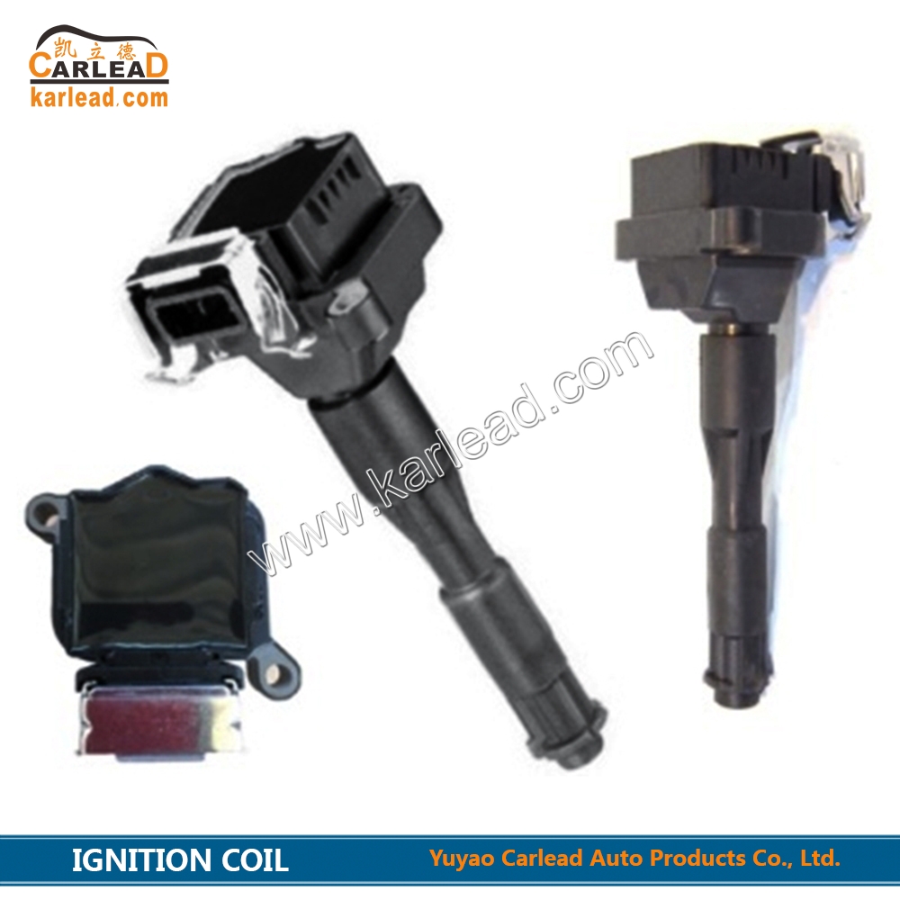 0221504004, 0221504004, 0221504029, 12131703227, 12139067830, 12131703825, 12131404309, 12137599219, 12131748018, 12131748017, 12131703228 BMW Zündspule